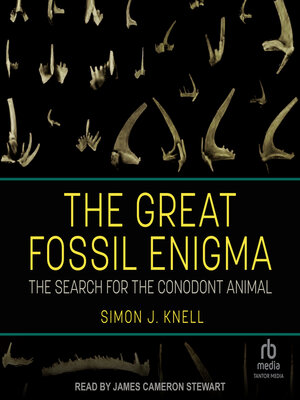 cover image of The Great Fossil Enigma